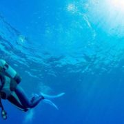 ダイバーズウォッチについての基本情報とおすすめのモデルを解説