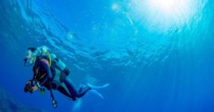 ダイバーズウォッチについての基本情報とおすすめのモデルを解説