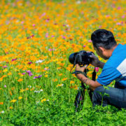 アングルとはなにか アングルとポジションの違いと組み合わせの効果