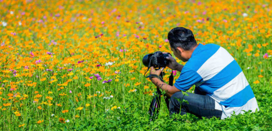 アングルとはなにか アングルとポジションの違いと組み合わせの効果
