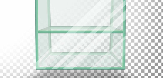 腕時計の収納方法と収納のポイント おすすめの収納アイテムの解説