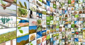 画面解像度ってなに？相対解像度や画素数 画面解像度を確認する方法