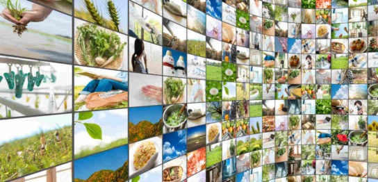 画面解像度ってなに？相対解像度や画素数 画面解像度を確認する方法