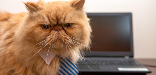 小型ゲーミングPC