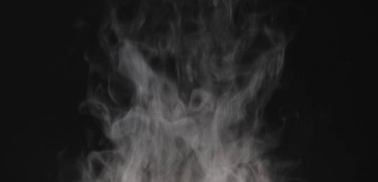 スチームクリーナー