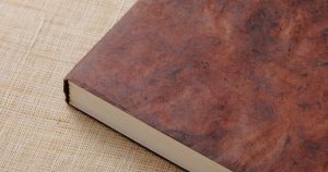 百科事典の魅力と選び方 人気の品と子供におすすめの百科事典を解説