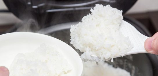 美味しいご飯が炊ける炊飯器の選び方 メーカー別のおすすめ製品８選