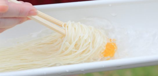 流しそうめん機の特徴と種類 魅力と注意点 おすすめ品8選を解説