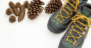 ハイキングシューズの種類と選び方 レディース向けのおすすめ品