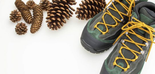 ハイキングシューズの種類と選び方 レディース向けのおすすめ品