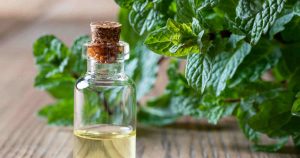 ハッカ油の効果と使用方法 選び方と使用上の注意点 おすすめ品