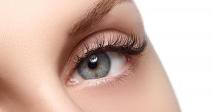 ホッtビューラー