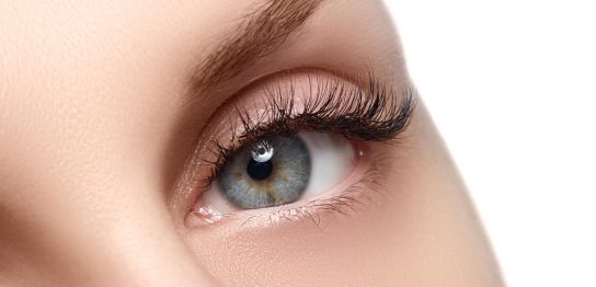 ホッtビューラー