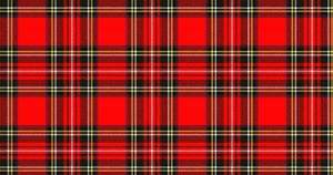 タータンタオルの特徴と選び方のポイント おすすめの品を解説