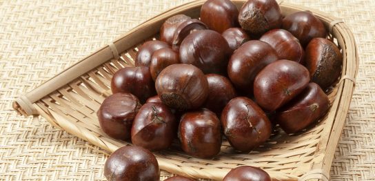 栗