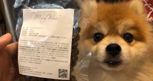 マル（6歳 ポメラニアン）とドッグフード モグワン