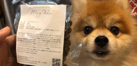 マル（6歳 ポメラニアン）とドッグフード モグワン