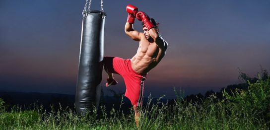 自宅でサンドバッグを使いたい！種類ごとの違いと選び方 おすすめ品