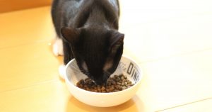 クロ もぐにゃん