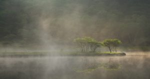 白っぽい写真はクリアにできる？かすみの除去の方法と効果を解説