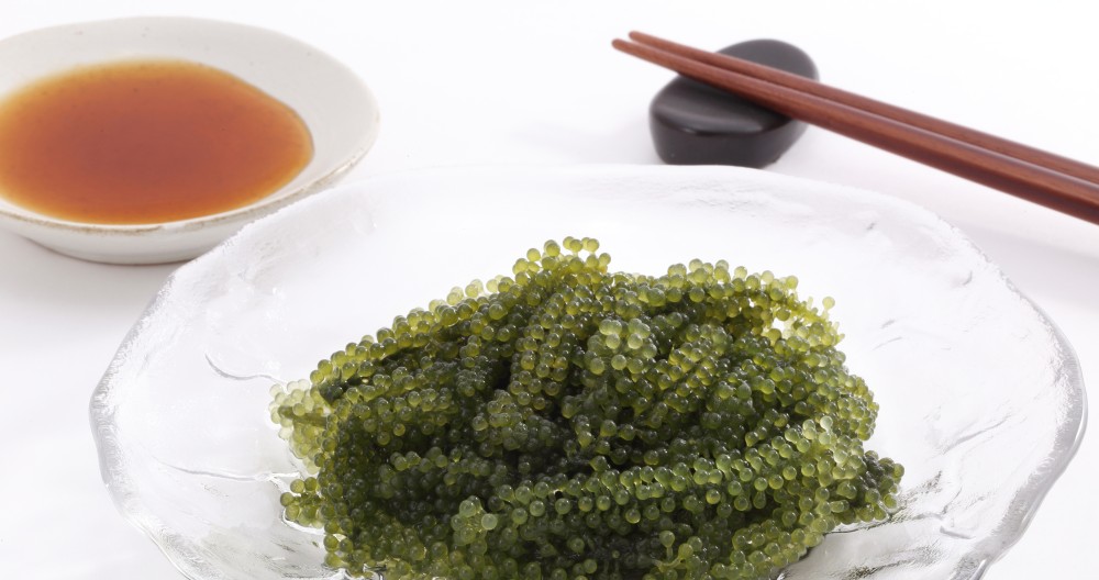 栄養があって丼ぶりにもできる海藻は？ウミブドウの特徴とおすすめ品