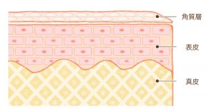 お肌の健康を保つには？角質ケアのポイントやおすすめのケアコスメ