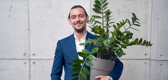 観葉植物をプレゼントに選ぶには？メリットと注意点 おすすめの品