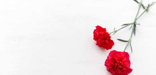 母への誕生日プレゼントの選び方とは？相場とおすすめの商品を解説