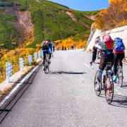 自転車のおすすめの選び方は？種類ごとの特徴と選び方 製品を解説