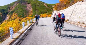 自転車のおすすめの選び方は？種類ごとの特徴と選び方 製品を解説