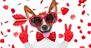 おもしろグッズをプレゼントするには？選び方とおすすめの品を解説