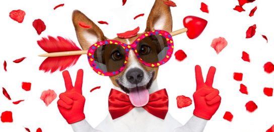 おもしろグッズをプレゼントするには？選び方とおすすめの品を解説