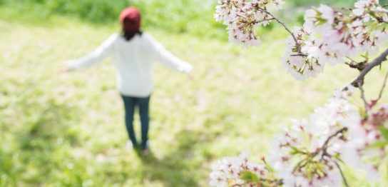花見の服装の選び方は？避けるべき服装とおすすめの品を解説