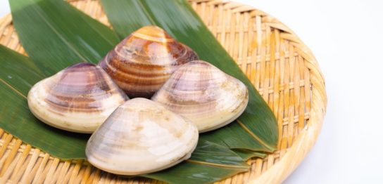 ひな祭りではまぐりを食べる理由は？歴史と献立 おすすめのはまぐり